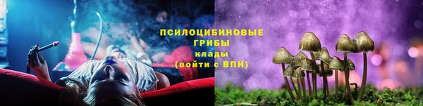 прущий лед Грязовец
