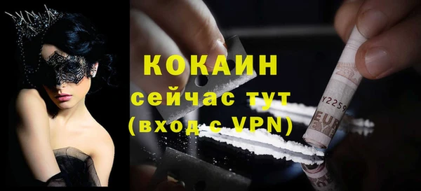 эйфоретик Губаха