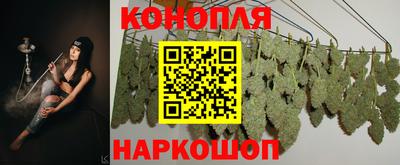 spice Заволжье