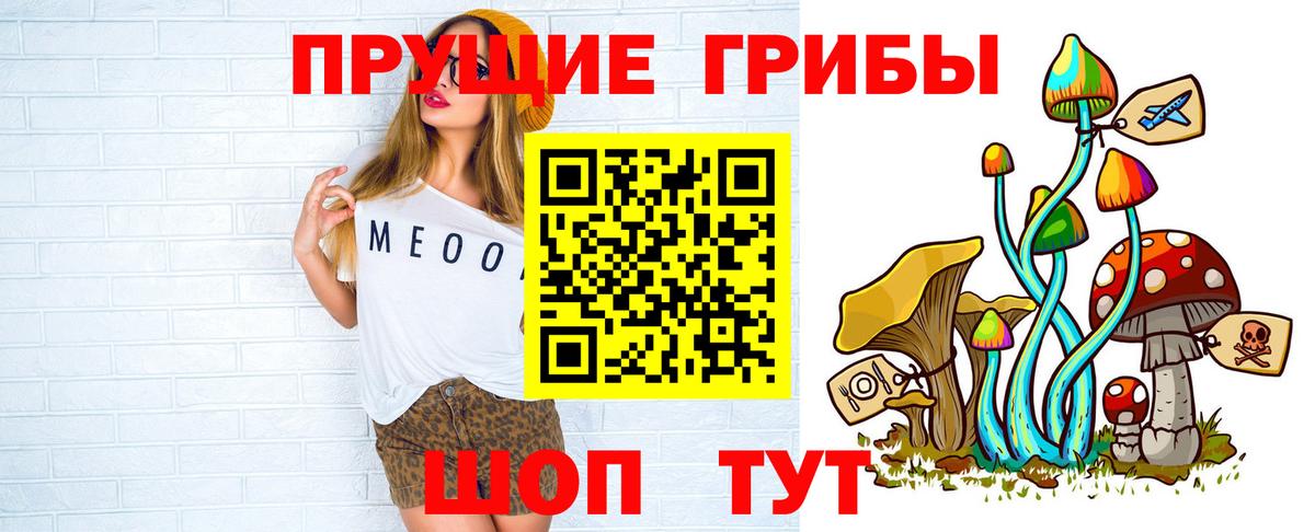 Знаменск  Галлюциногенные грибы Cubensis  Псилоцибиновые грибы ЛСД  Вход с VPN 