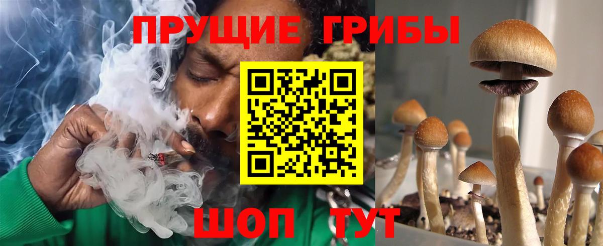 Альфа ПВП Знаменск