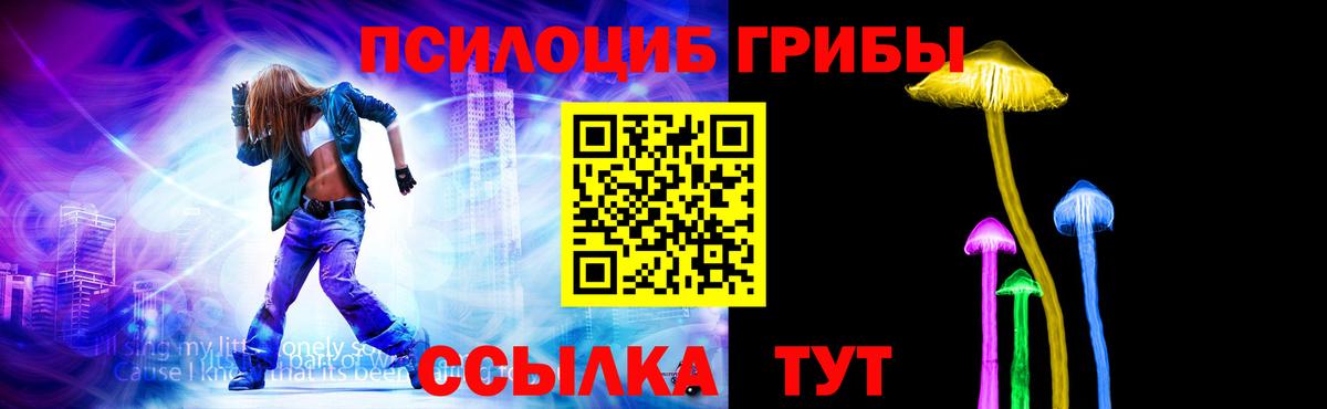 Галлюциногенные грибы Psilocybe Знаменск