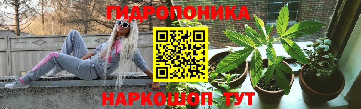 Знаменск  Шишки марихуана семена  Марихуана Amnesia  Марихуана конопля  Вход с VPN 
